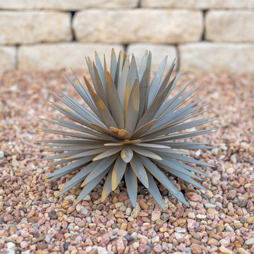 Yucca Sculpture by