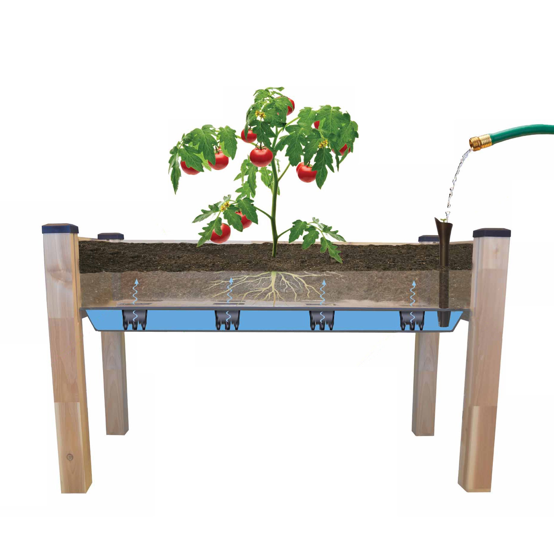 Self-Watering Elevated Cedar Planter with Greenhouse and Bug Cover