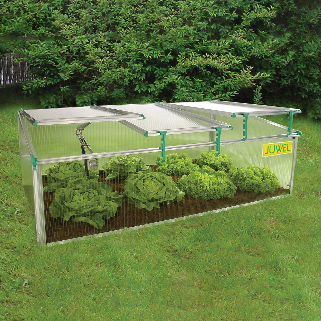 Biostar 1500 Premium Cold Frame Mini-Greenhouse