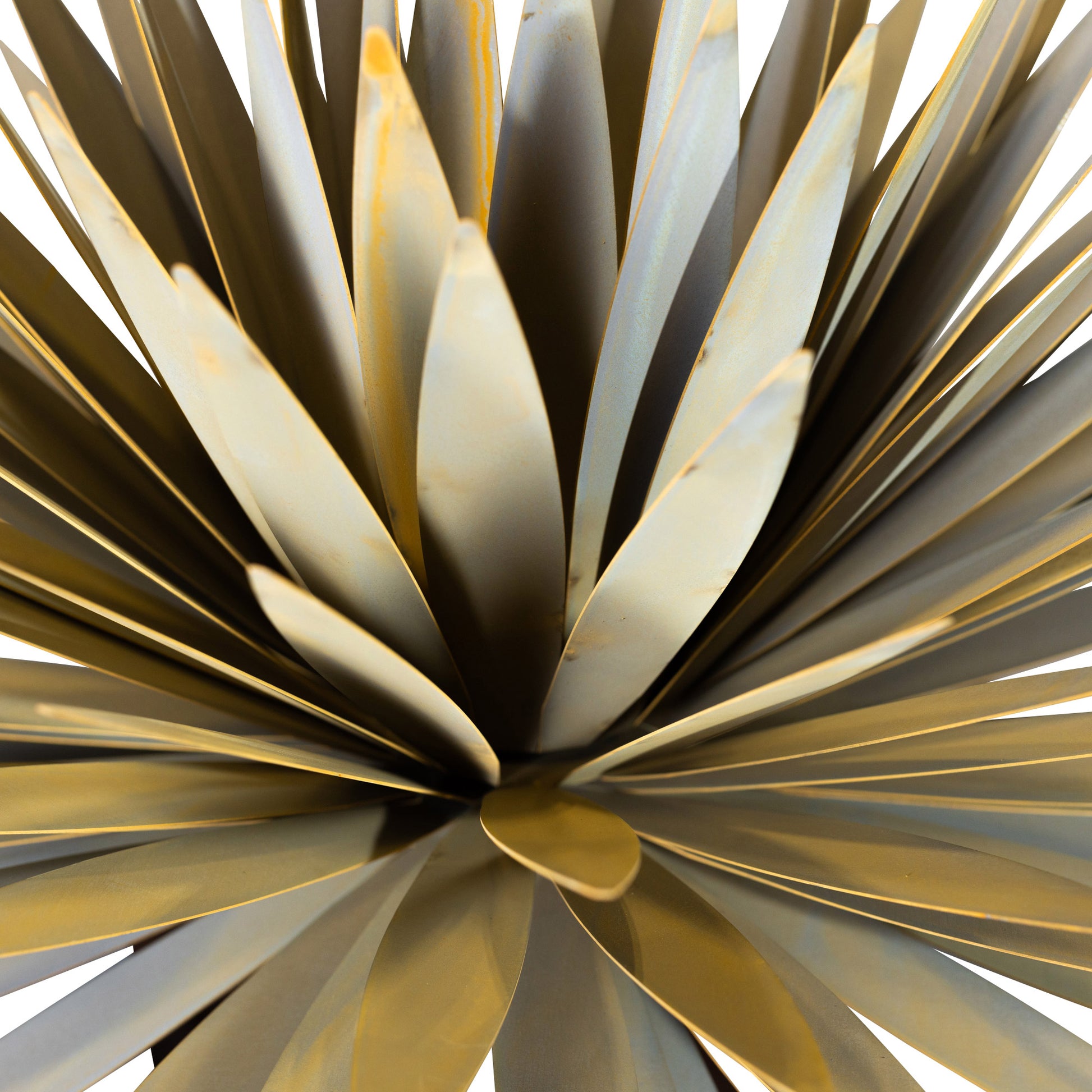 Yucca Sculpture by