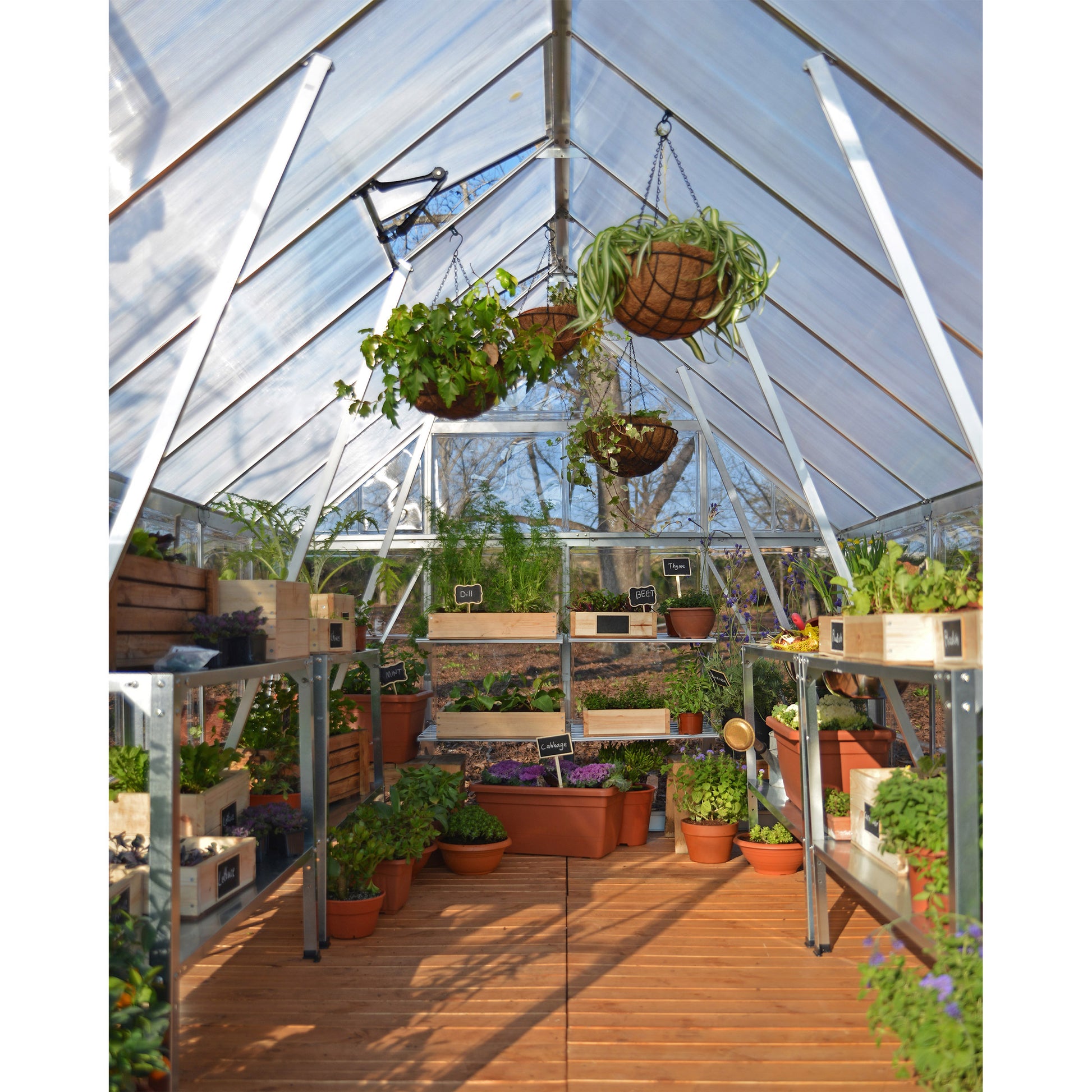 Palram Canopia Balance 8 Ft. Series Greenhouse