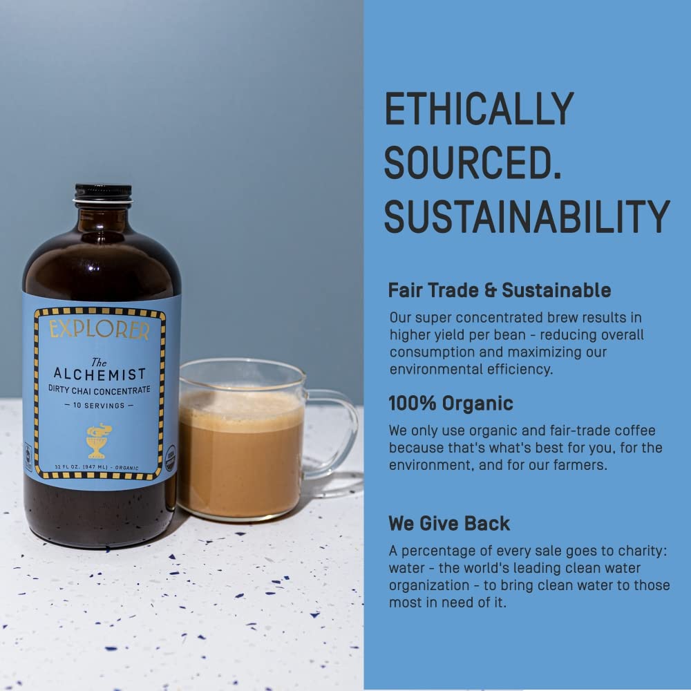 Explorer Organic Chai Tea Concentrate, Spiced Masala, Drink Iced or Hot, 32 fl oz, Makes 8 Cups - Strabella