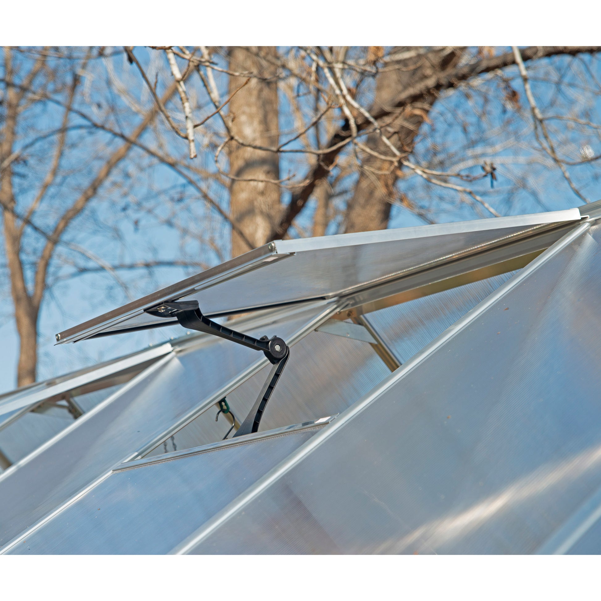 Palram Canopia Balance 8 Ft. Series Greenhouse
