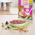 EnviroKidz Cereal, 10 Ounce (Pack of 1) - Strabella