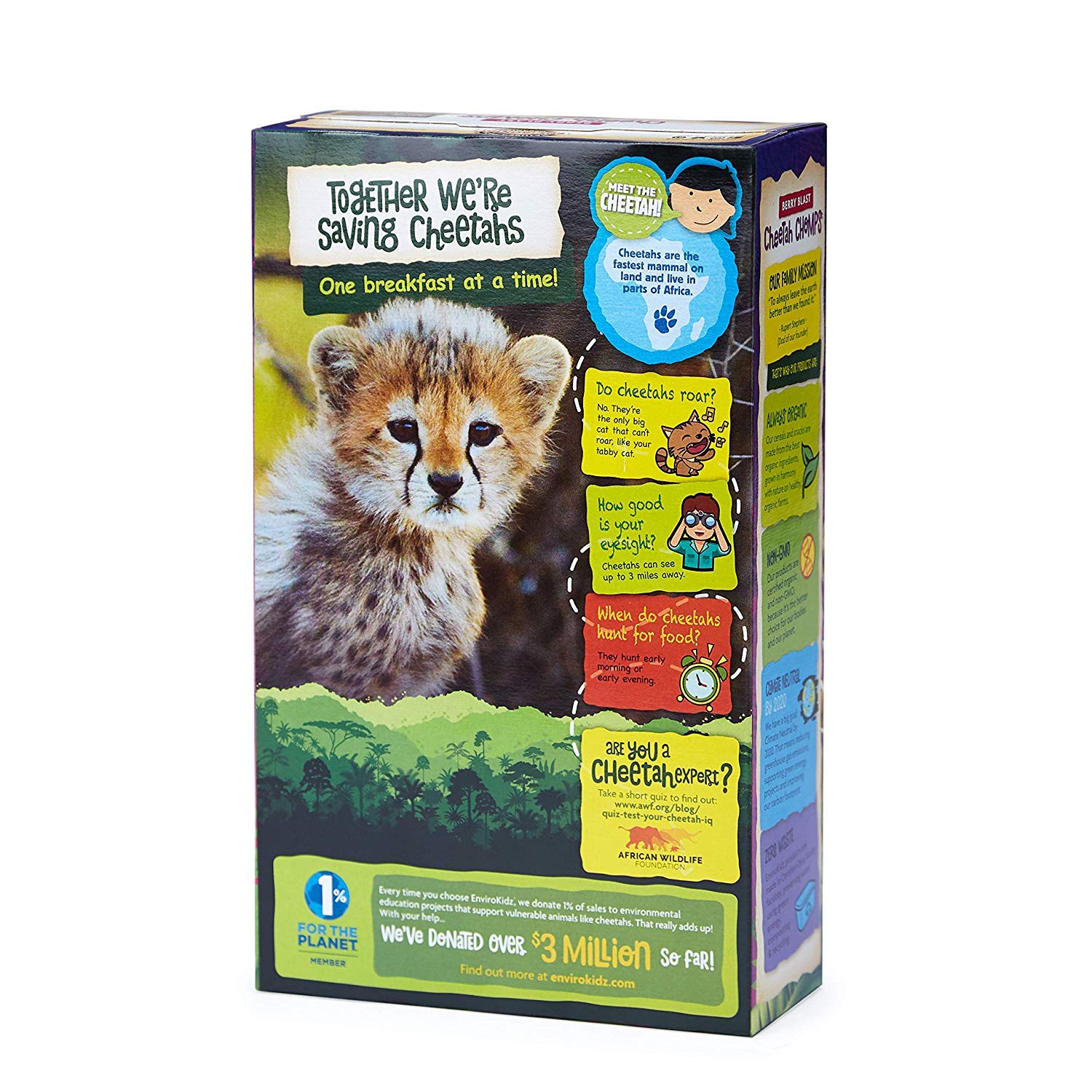 EnviroKidz Cereal, 10 Ounce (Pack of 1) - Strabella