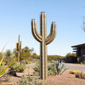 5' Saguaro Torch Sculpture by