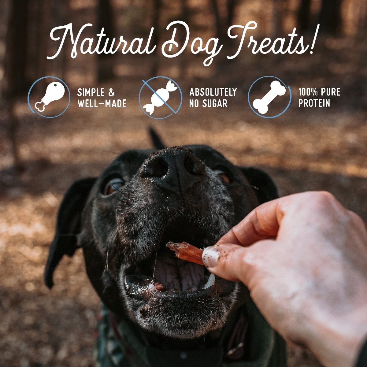 Beg & Barker Whole Turkey Jerky Dog Treats - Strabella