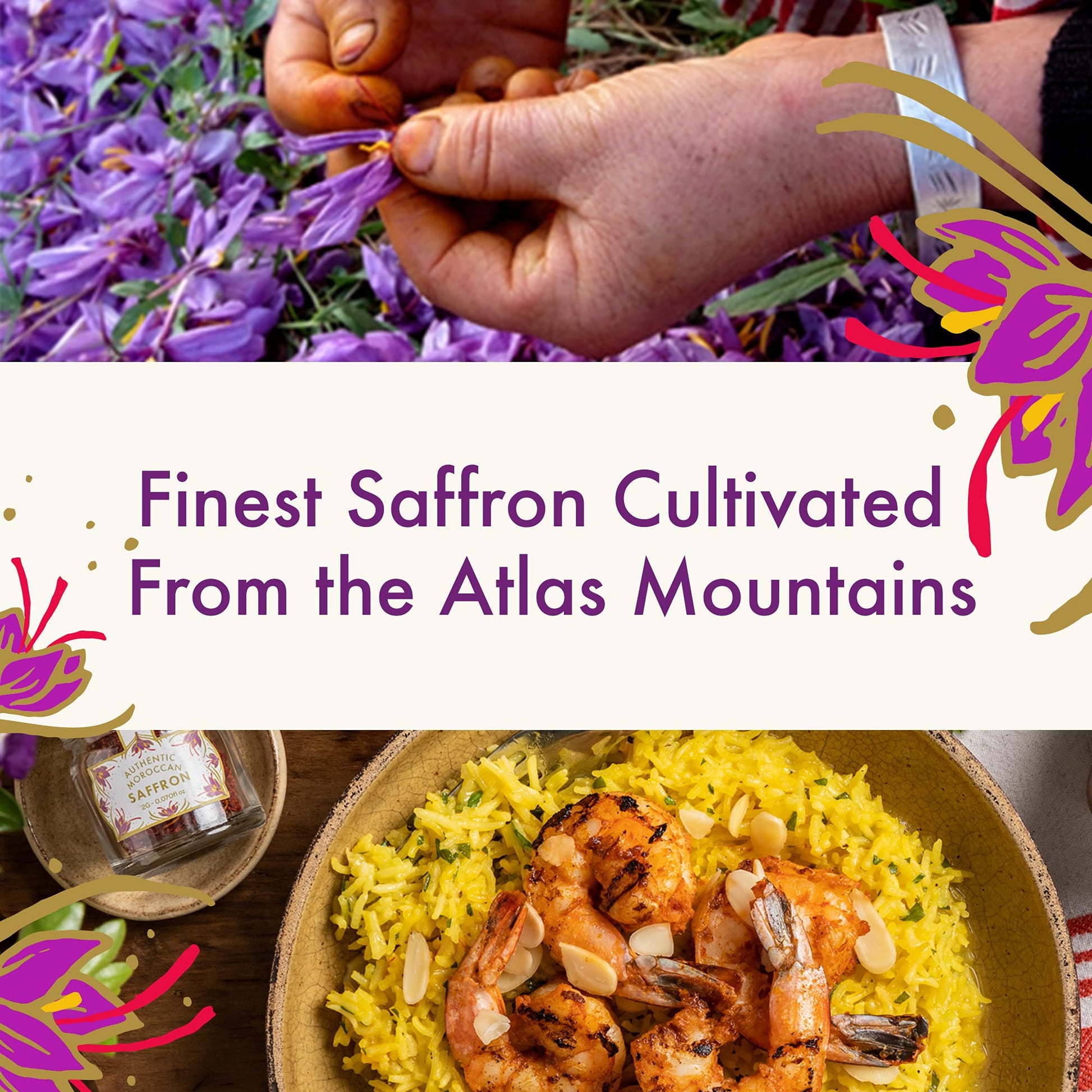 Casablanca Market Pure Organic Moroccan Saffron - Saffron Threads for Cooking from Pure Saffron Bulbs - Fresh Saffron Spice from Saffron Crocus Bulbs - Organic Saffron Straight from Morocco (2g) - Strabella