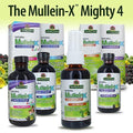Nature's Answer Mullein - X Kids Cough Syrup 4 Ounce | Soothes Coughs & Clears Mucus | Respiratory Support | Non GMO Gluten Free | Natural Honey Flavor - Strabella