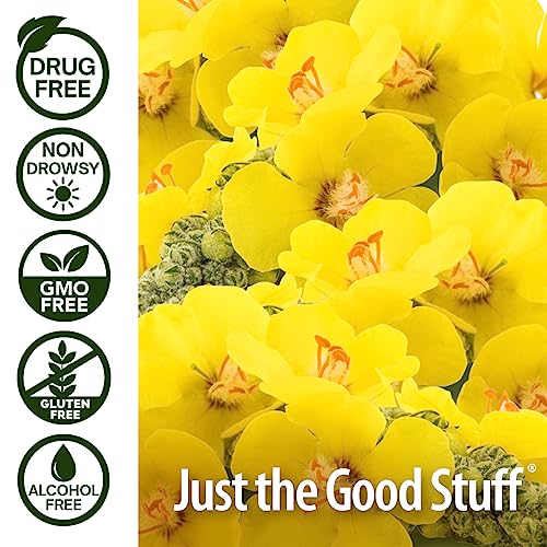 Nature's Answer Mullein - X Kids Cough Syrup 4 Ounce | Soothes Coughs & Clears Mucus | Respiratory Support | Non GMO Gluten Free | Natural Honey Flavor - Strabella