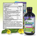 Nature's Answer Mullein - X Kids Cough Syrup 4 Ounce | Soothes Coughs & Clears Mucus | Respiratory Support | Non GMO Gluten Free | Natural Honey Flavor - Strabella