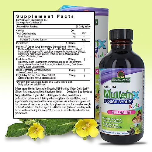 Nature's Answer Mullein - X Kids Cough Syrup 4 Ounce | Soothes Coughs & Clears Mucus | Respiratory Support | Non GMO Gluten Free | Natural Honey Flavor - Strabella
