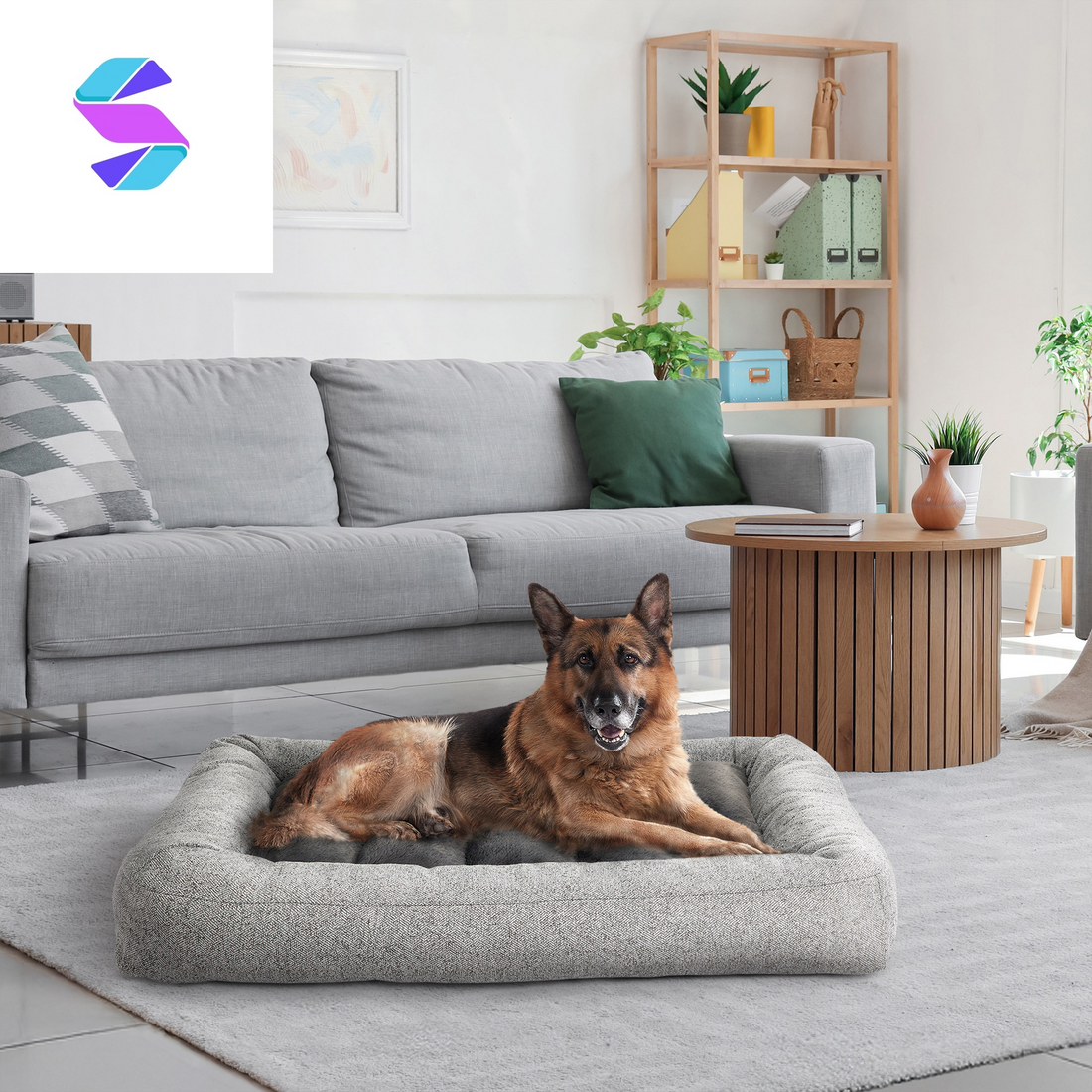 32" X 42" Channeled Bolster Pet Bed