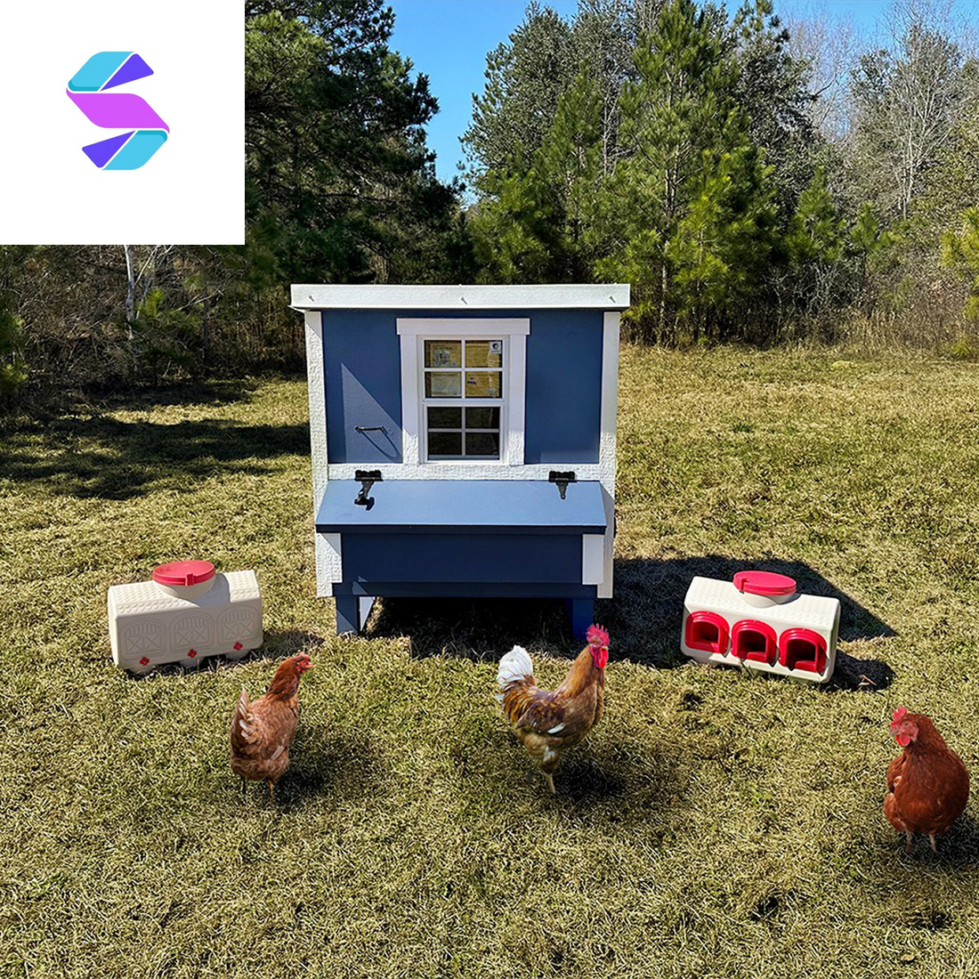 Medium Chicken Coop with Feeder and Waterer